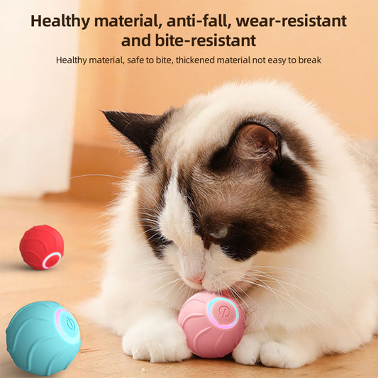 Automatic Cat Ball