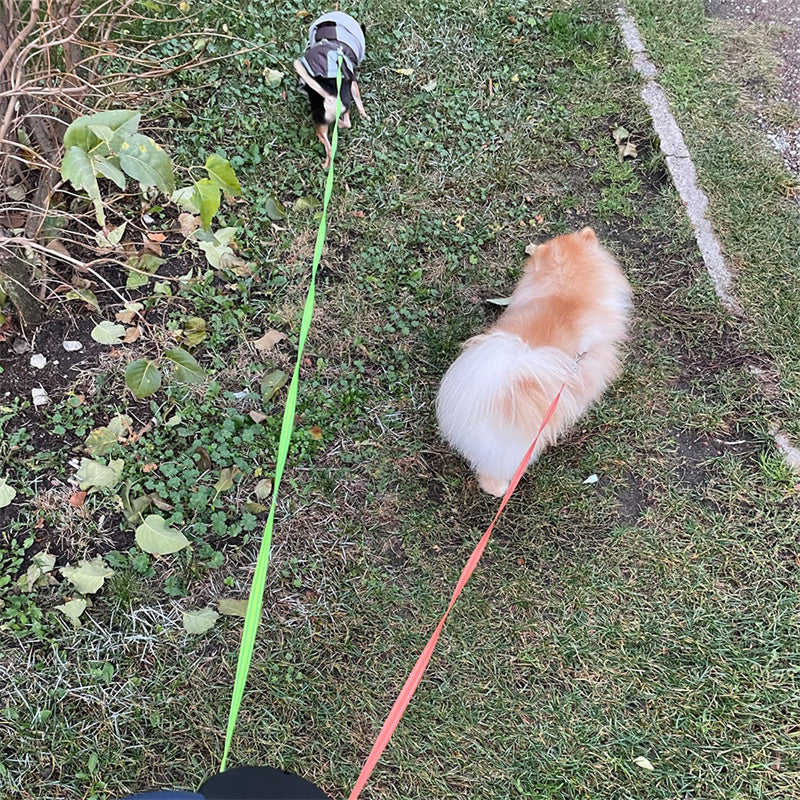 Dual Pet Leash