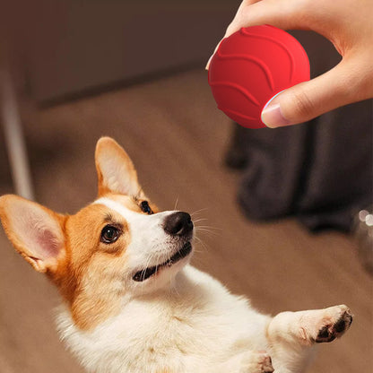 Automatic Cat Ball