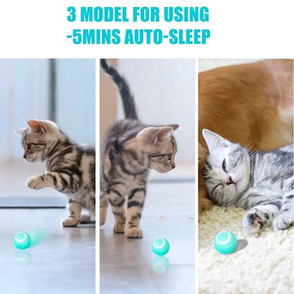 Interactive Cat Toy Ball