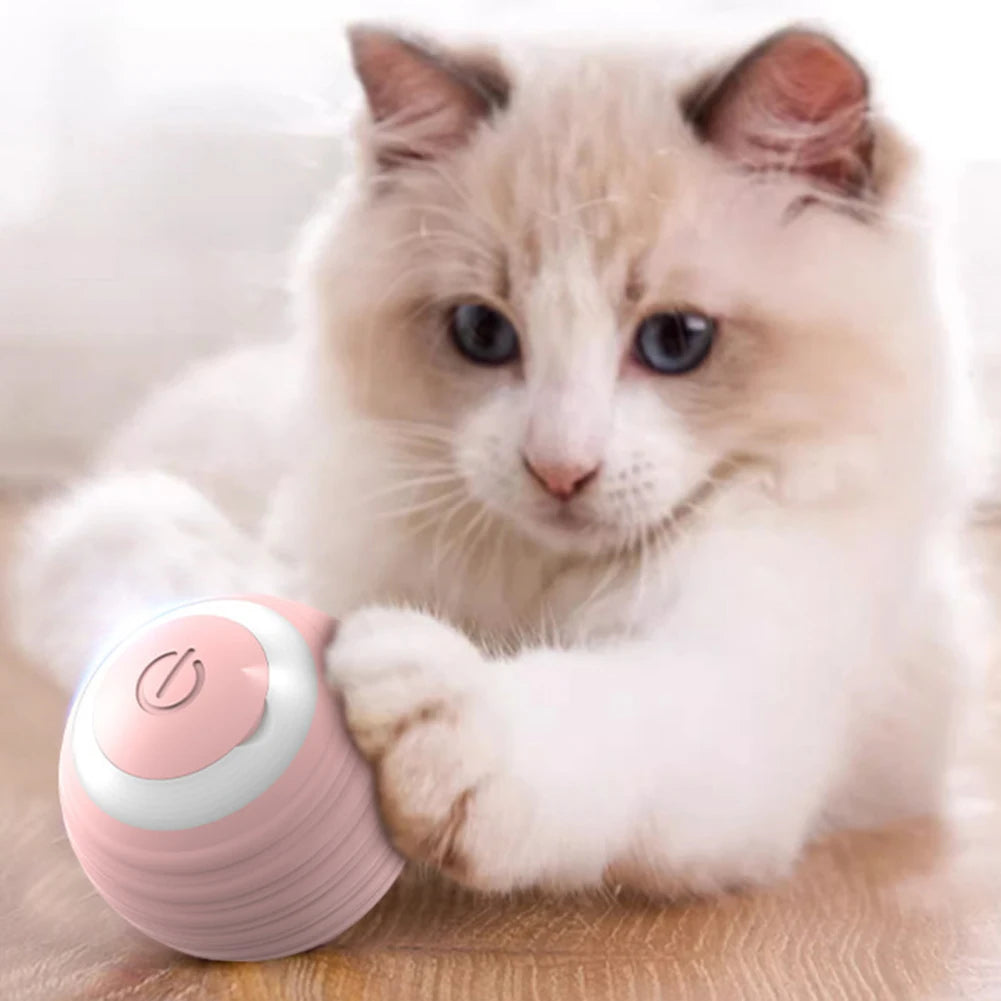 Interactive Cat Toy Ball