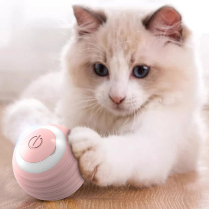 Interactive Cat Toy Ball