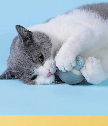 Interactive Cat Toy Ball