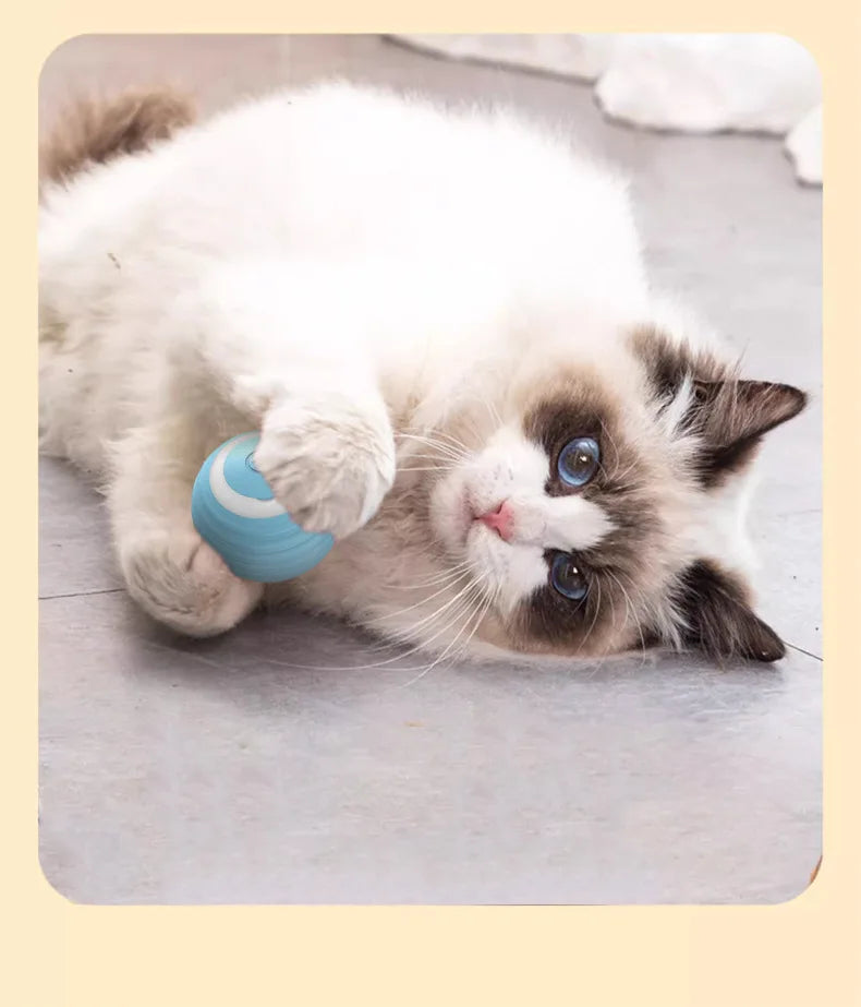 Interactive Cat Toy Ball