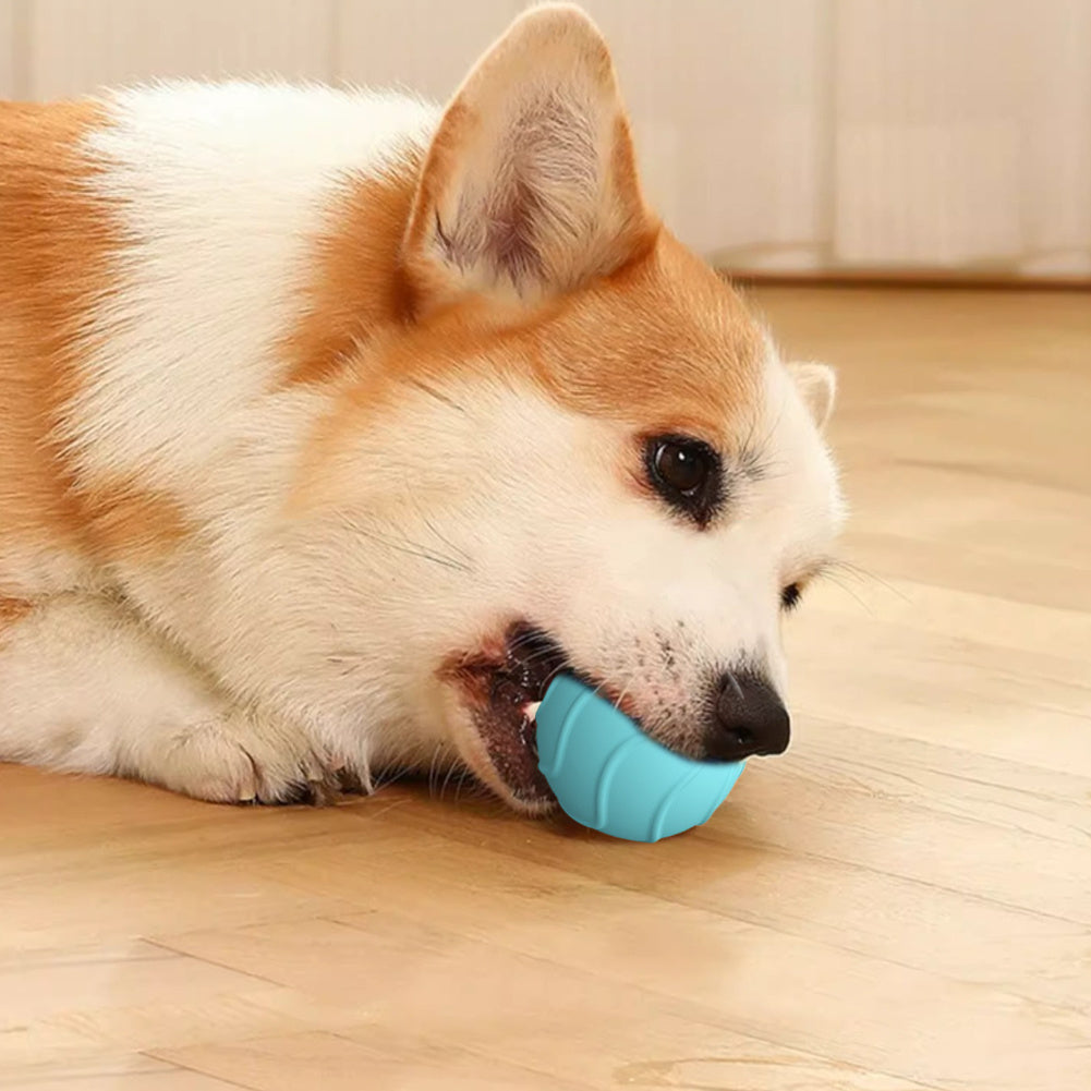 Automatic Cat Ball