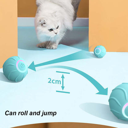 Automatic Cat Ball