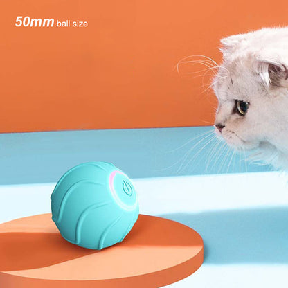 Automatic Cat Ball